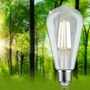 E27 - P 29122 Eco-Line Filament 230V LED žárovka ST64 E27 4W 3000K čirá - PAULMANN - foto 2