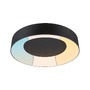 Kruhová - P 71097 LED stropní svítidlo Casca IP44 CCT 230V 23W černá mat - PAULMANN - foto 2
