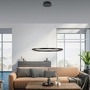 Kruhová - LD 15394-13 RITUS LED závěsné svítidlo antracit, kruhové, pr.60cm, stmívatelné, Switchmo, teplá bílá krokově stmívatelné 3000K - LEUCHTEN DIREKT / JUST LIGHT - foto 2