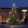 SADY na stromy - DLED TRS3027A LED světelná sada na stromy vysoké 9-11m, teplá bílá s ledově bílými dekory EFD15S2 - foto 2