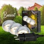 Connect To Shine - BRI 3922034 CONNECT TO SHINE startovací sada Teak 3ks LED zapuštěných svítidel do země, IP65 - BRILONER - foto 2