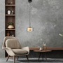 Subtilní - PN 2112-18 Závěsné svítidlo LED RIKA 1 ramenné černá nastavitelná výška Comfort Lift SimplyDim 3000K - PAUL NEUHAUS - foto 2
