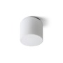 Koupelnová - RED R13682 ARANA R 17 stropní opálové sklo/chrom 230V E27 15W IP44 - RED - DESIGN RENDL - foto 2