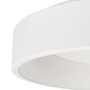 Kruhová - IMPR 348184 Deko-Light stropní přisazené svítidlo Sculptoris 800 mm, 60,0 W, 3000/4000 K, bílá 220-240V AC/50-60Hz 60,00 W 3000/4000 K 4100 lm bílá RAL 9016 - foto 2
