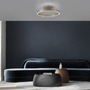 Kruhová - PN 6552-97 LED stropní svítidlo PURE Loop, bronzová, stmívatelné, dálkový ovladač 2200-5000K - PAUL NEUHAUS - foto 2