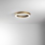 Kruhová - FAN LED-DEMOS-PL60-ORO Stropní LED svítidlo DEMOS zlatá, 60 W, 8250 lm, CCT, 60 x 8,5 cm - FANEUROPE - foto 2