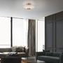 Dekorativní - PN 6282-97 LED stropní svítidlo, ELIPSA, kávová, stmívatelné, opálové sklo, 3000K - PAUL NEUHAUS - foto 2