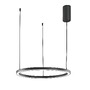 Kruhová - FAN LED-HOOP-S60-NER Závěsné LED svítidlo HOOP černá, 30 W, 4500 lm, CCT, 60 × 150 cm - FANEUROPE - foto 2