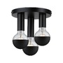 Dekorativní - P 79761 Stropní svítidlo Skogen max. 3x20W E27 černá - PAULMANN - foto 2