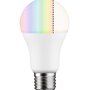 E27 - P 50124 SmartHome ZigBee LED žárovka 9,3 W mat E27 2.700 - 6.500K RGB - PAULMANN - foto 2
