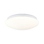 Kruhová - P 75407 LED stropní svítidlo Leonis II soumrakové a pohybové čidlo (HF) IP44 3000 - 5700K 230V 16,5W bílá - PAULMANN - foto 2