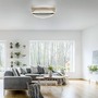 Smart Home Paul Neuhaus - PN 6739-60 Paul Neuhaus LED stropní svítidlo Q-BELUGA matná mosaz stmívatelné Smart Home ZigBee 2700-5000K - PAUL NEUHAUS - foto 2