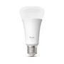 E27 - PH 8720169363885 Hue W 1600 smart žárovka A67 E27, 13,5W, 1600lm, teplá bílá - PHILIPS - foto 2