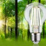E27 - P 29121 Eco-Line Filament 230V LED žárovka E27 1ks-sada 4W 840lm 3000K čirá - PAULMANN - foto 2