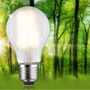 E27 - P 29225 Eco-Line Filament 230V LED žárovka E27 5W 3000K mat - PAULMANN - foto 2