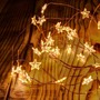LED osvětlení na BATERIE - DLED BL34W DecoLED LED světelný řetěz na baterie - hvězdičky, teple bílá, 40 diod, 3,4 m - foto 2