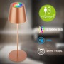 Stolní lampy dekorační - BRILO 7510013 Calida stolní lampička - 2,5W, 200lm, nabíjecí, LED, stmívatelné, RGBW, uchycení na láhev, bronzová - BRILO - foto 2