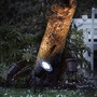 Zápichy - NOR 20789903 Venkovní svítidlo zápich Spotlight 35W GU10 černá čirá - NORDLUX - foto 2