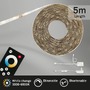 Dekorační - BRILO 2032-150P CCT LED pásek 500 cm 18W 1650lm bílé - BRILONER - foto 2