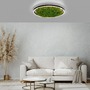 Kruhová - LD 15392-66 GREEN RITUS LED stropní svítidlo 60x60 islandský mech Moos Switchmo 3 krokové stmívání 3000K akustické - LEUCHTEN DIREKT / JUST LIGHT - foto 2