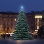 SADY na stromy - DLED TRS301 LED světelná sada na stromy vysoké 9-11m, ledová bílá - foto 2