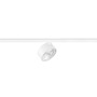 Lištové Magnetic SLV - LA 1010257 KALU 2.0 48V Spot, DALI, válcové, 3000 K, 9 W, 36°, bílé - BIG WHITE (SLV) - foto 2