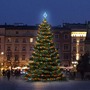 SADY na stromy - DLED TRS201M LED světelná sada na stromy vysoké 6-8m, barevná - foto 2