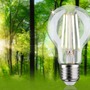 E27 - P 29124 Eco-Line Filament 230V LED žárovka E27 1ks-sada 2,5W 4000K čirá - PAULMANN - foto 2