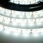 Jednobarevné LED pásky 12V, 24V, 230V - LED pásek SB3-W300 zalitý - foto 2