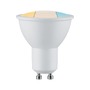 LED moduly - P 28797 Žárovka Choose LED-Modul WhiteSwitch GU10 5,9W 470lm 230V - PAULMANN - foto 2