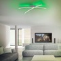 Podélná - LD 11255-55 ALINA LED stropní svítidlo, ocel, dálkový ovladač, stmívatelné, RGB, CCT 2700-5000K - LEUCHTEN DIREKT / JUST LIGHT - foto 2