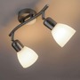 Bodová - LD 11952-55 KARO Stropní svítidlo, barva ocel, 2x E14, skleněné stínidlo, IP20 - LEUCHTEN DIREKT / JUST LIGHT - foto 2