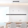 Podélná - PN 2525-15 Svítidlo závěsné PURE-MOTO LED 3x 13W 2700-5000K nastavitelné platina - PAUL NEUHAUS - foto 2