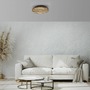 Kruhová - LD 15592-79 LED stropní svítidlo AKUSTIK, dřevo, přírodní, kruhové, 3000K - JUST LIGHT - foto 2