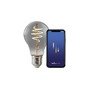 E27 - NOR 2280012747 Smart E27 A60 1800K LED žárovka kouřová - NORDLUX - foto 2