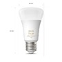 SmartHome Paul Neuhaus - PH 8719514291256 Hue Bluetooth LED White Ambiance set 2ks žárovek Philips 8719514291256 E27 A60 8W 1100lm 2200-6500K stmívatelné - PHILIPS (929002468404) - foto 2