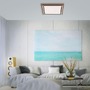 Hranatá - PN 6141-79 PALMA LED stropní svítidlo, imitace dřeva, stmívatelné, dálkový ovladač, CCT 2700-5000K - PAUL NEUHAUS - foto 2