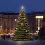 SADY na stromy - DLED TRS2024W LED světelná sada na stromy vysoké 6-8m, teplá bílá s dekory EFD12W - foto 2