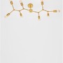 Dekorativní - NV 9404078 Stropní svítidlo CALISTO mosazný kov E27 8x12W 230V IP20 bez žárovky - NOVA LUCE - foto 3