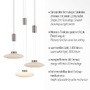 Vícečetná - PN 2082-55 LAUTADA LED závěsné svítidlo 3 ramenné, kruhové, stříbrná barva, stmívatelné, nastavitelná výška SimplyDim 3000K - PAUL NEUHAUS - foto 3