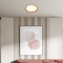 Kruhová - BRILO 3852014 Ijus LED stropní svítidlo, dekor dřeva, svítíci hrana, imitace dřeva - BRILO - foto 3