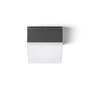 Přisazená - RED R13629 ORIN SQ stropní antracitová satinovaný akryl 230V LED 10W IP54 3000K - RED - DESIGN RENDL - foto 3