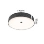 Kruhová - P 79994 LED stropní svítidlo Smart Home Zigbee 3.0 Malika měnitelná bílá 230V 26W stmívatelné antracit - PAULMANN - foto 3