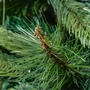 Vánoční stromky - DLED K066 DecoLED Vánoční strom, 2D a 3D jehličí, borovička,180cm K066 - foto 3