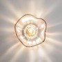 Dekorativní - M MOD207WL-01BS Nástěnné svítidlo Miracle G9 28W mosaz čiré sklo kov - MAYTONI - foto 3