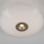 Dekorativní - PN 6282-97 LED stropní svítidlo, ELIPSA, kávová, stmívatelné, opálové sklo, 3000K - PAUL NEUHAUS - foto 3