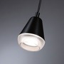 Koupelnová - P 76990 LED závěsné svítidlo Luia GU10 max. 10W satén/černá - PAULMANN - foto 3