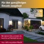 Nástěnná - P 95747 Hybrid LED venkovní nástěnné svítidlo Calyne domovní 230V + solární IP44 hranaté 145x229mm 3000K 2,3W 230V černá - PAULMANN - foto 3