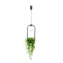 Dekorativní - ZUMA 002177-026163 5003 PLANT 1 závěsné svítidlo - ZUMALINE - foto 3