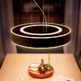 SmartHome Paul Neuhaus - PH 41162/30/P6 Hue Bluetooth LED White Ambiance Závěsné svítidlo Philips Enrave 41162/30/P6 33,5W 4300lm 2200-6500K IP20 černé, stmívatelné s dálkovým ovladačem - PHILIPS HUE (915005998101) - foto 3